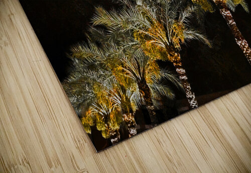 Phoenix Palms Lawrence Costales puzzle