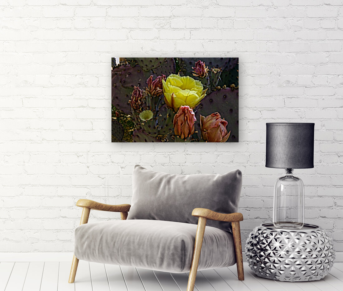 Nopal Flower Reproduction