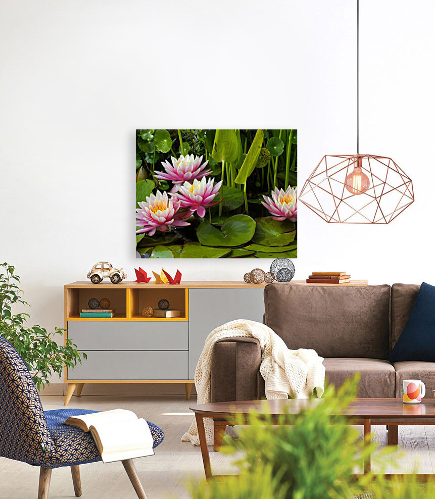 May Lilies  Reproduction