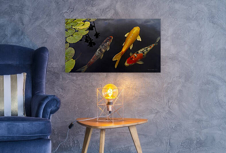 Three Koi - Amigos by Lawrence Costales