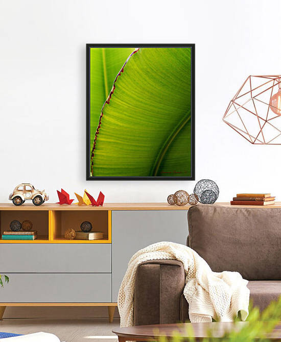 Banana Leaf Abstract 0529 by Lawrence Costales