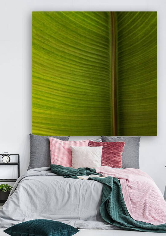 Banana Leaf In Abstract 528 by Lawrence Costales