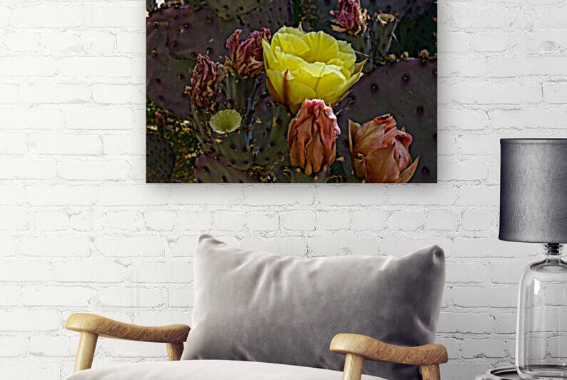 Nopal Flower by Lawrence Costales