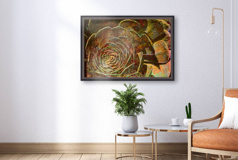 Succulent In Abstract by Lawrence Costales