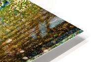 6 In Alignment HD Metal print