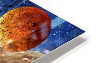 6 Planet X 2 HD Metal print