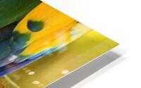 Perret Tail HD Metal print