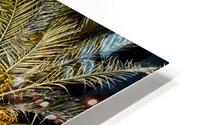 Phoenix Palms HD Metal print