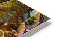 Succulent In Abstract HD Metal print