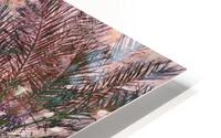 1p Palms Under Eclipse HD Metal print