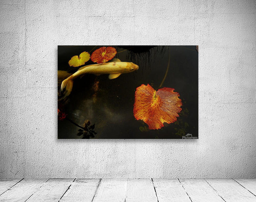 Fall Koi Wall Preview