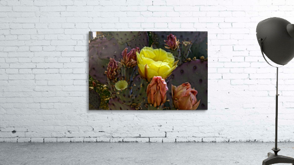 Nopal Flower Wall Preview