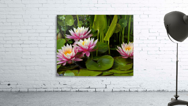 May Lilies  Wall Preview