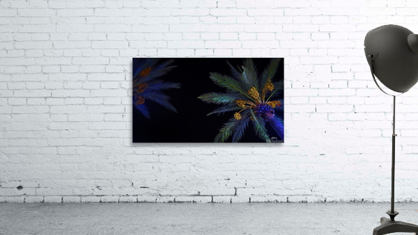  Palms At Night Wall Preview