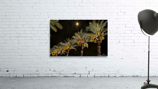 Phoenix Palms Wall Preview