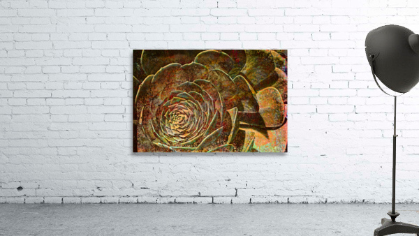 Succulent In Abstract Wall Preview