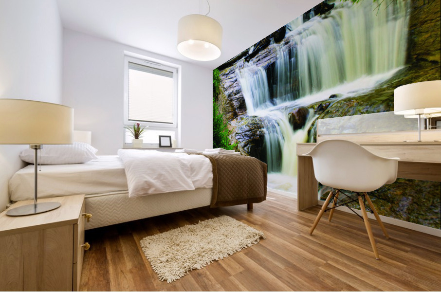 Sable Falls Mural print