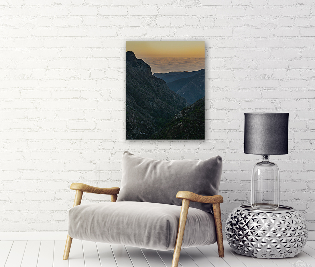 Malibu Daydream Reproduction