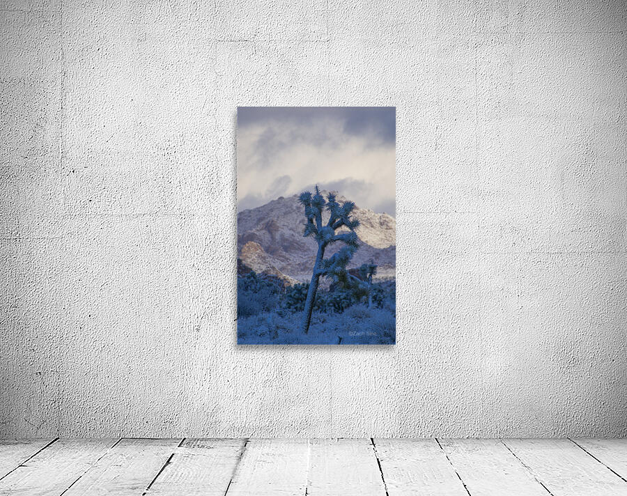 Joshua Tree Portrait Wall Preview