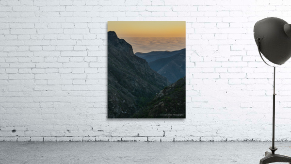 Malibu Daydream Wall Preview