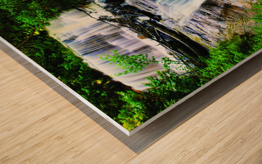 Sable Falls Wood print