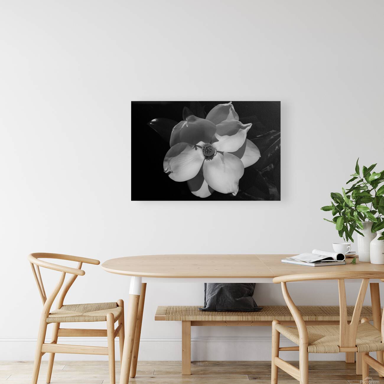 magnolia copy Reproduction