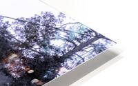 Tiny Church  HD Metal print