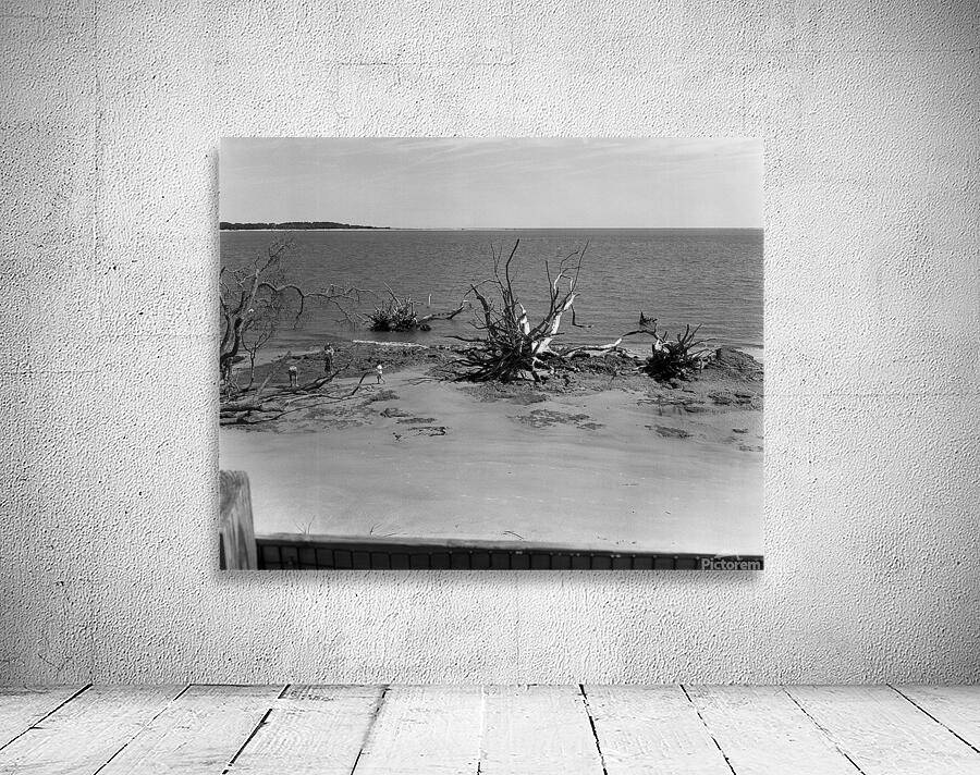 Dead wood Wall Preview