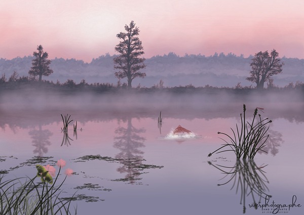 Marsh Trout Digital Download