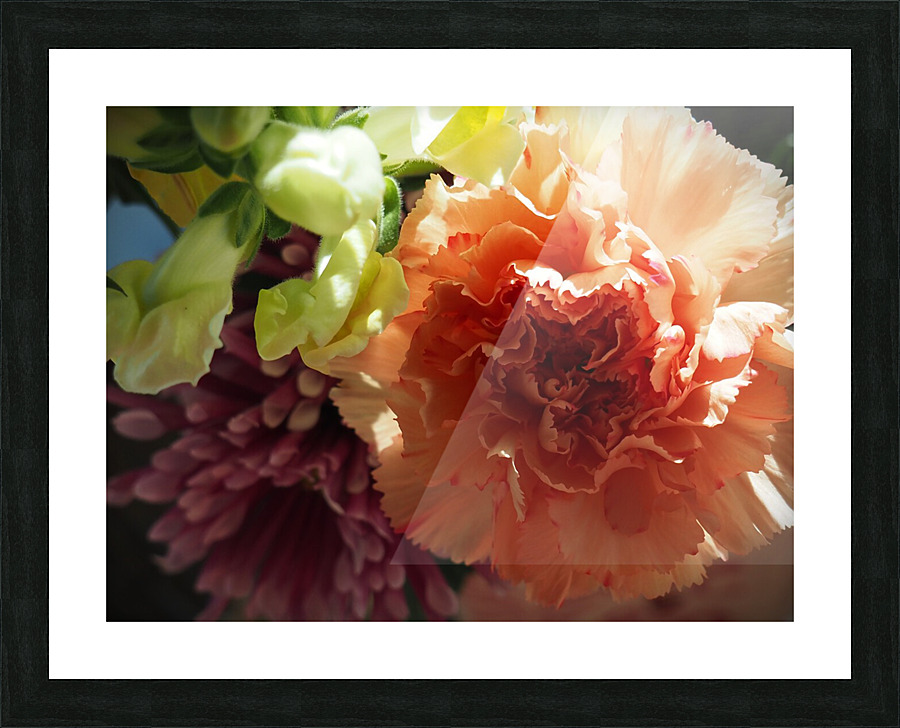Carnation and friends Picture Frame print