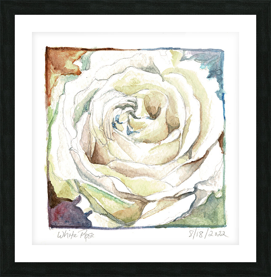Watercolor Rose Picture Frame print