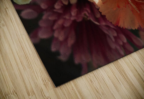 Carnation and friends H20colorartist puzzle