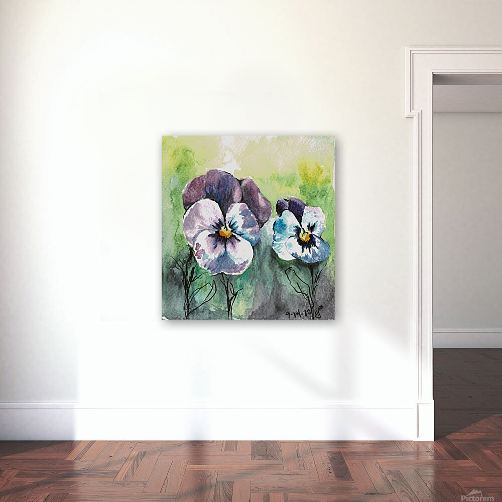 Pansies Reproduction