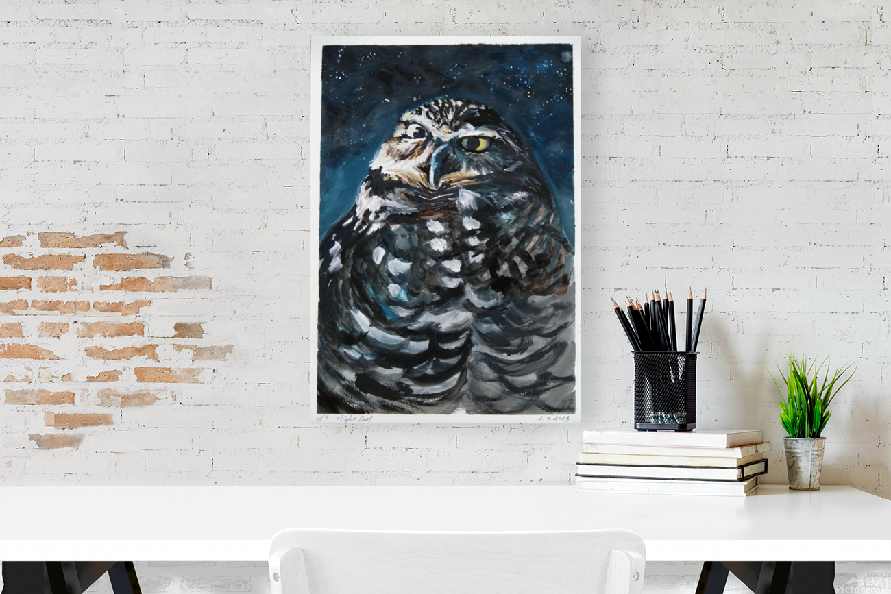 Night Owl Reproduction