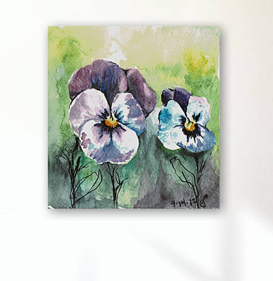 Pansies Reproduction