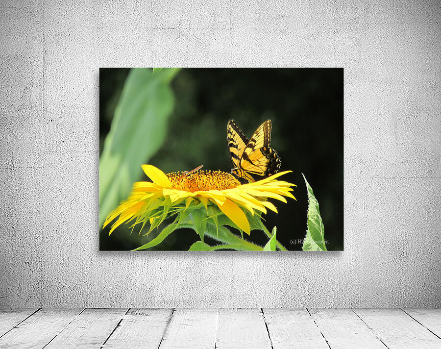 Sunflower Butterfly Wall Preview