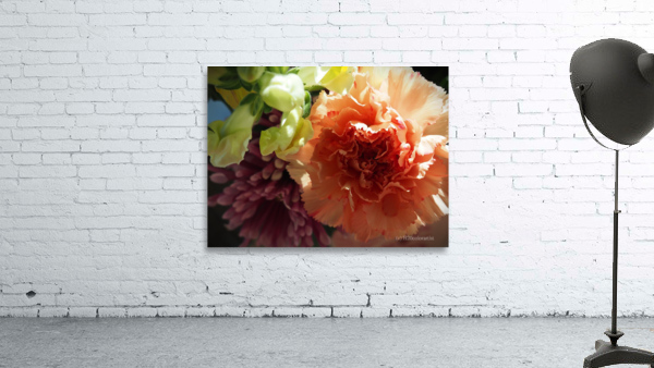 Carnation and friends Wall Preview