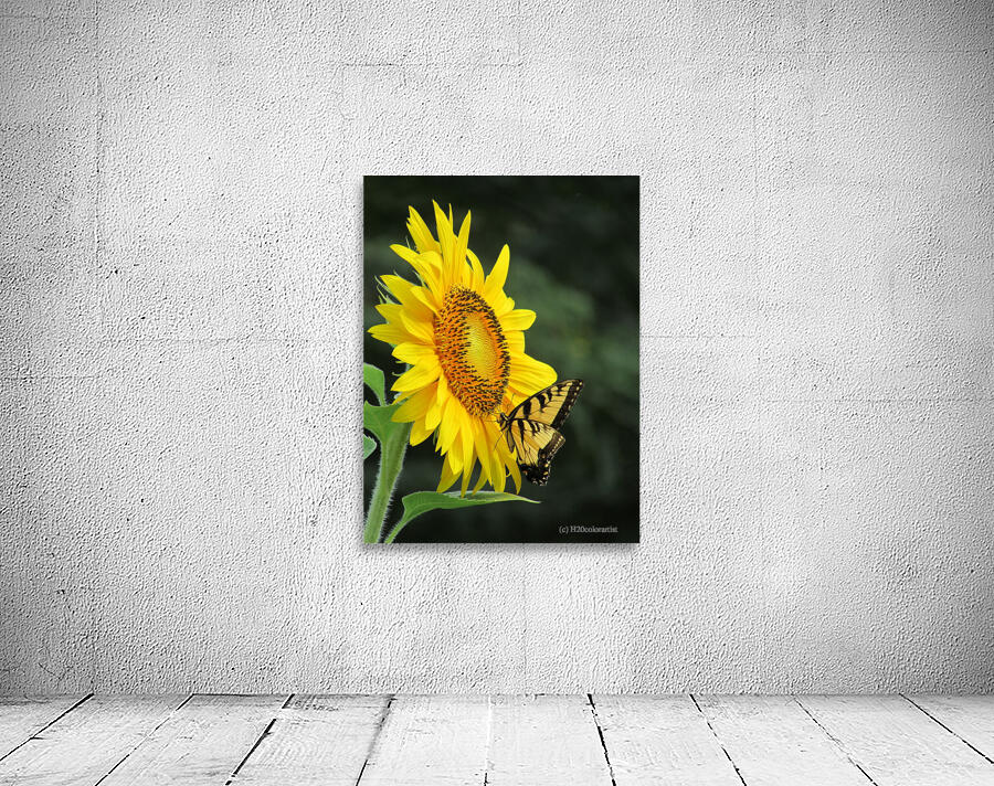 Pollen Miner Wall Preview