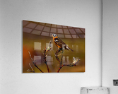Smiths Longspur Acrylic Print
