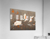 PtarmiganFlyby Acrylic Print