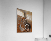 Waterbuck Acrylic Print