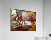 Wanta Race Acrylic Print