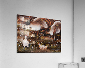 What Are You Looking At Acrylic Print