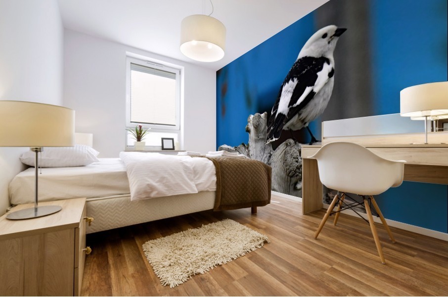 MaleSnowBunting Mural print