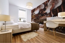 What Are You Looking At Mural print
