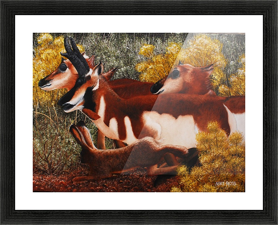 Wanta Race Picture Frame print