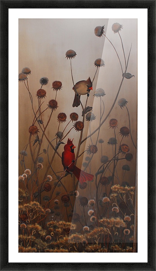 Cardinals Picture Frame print
