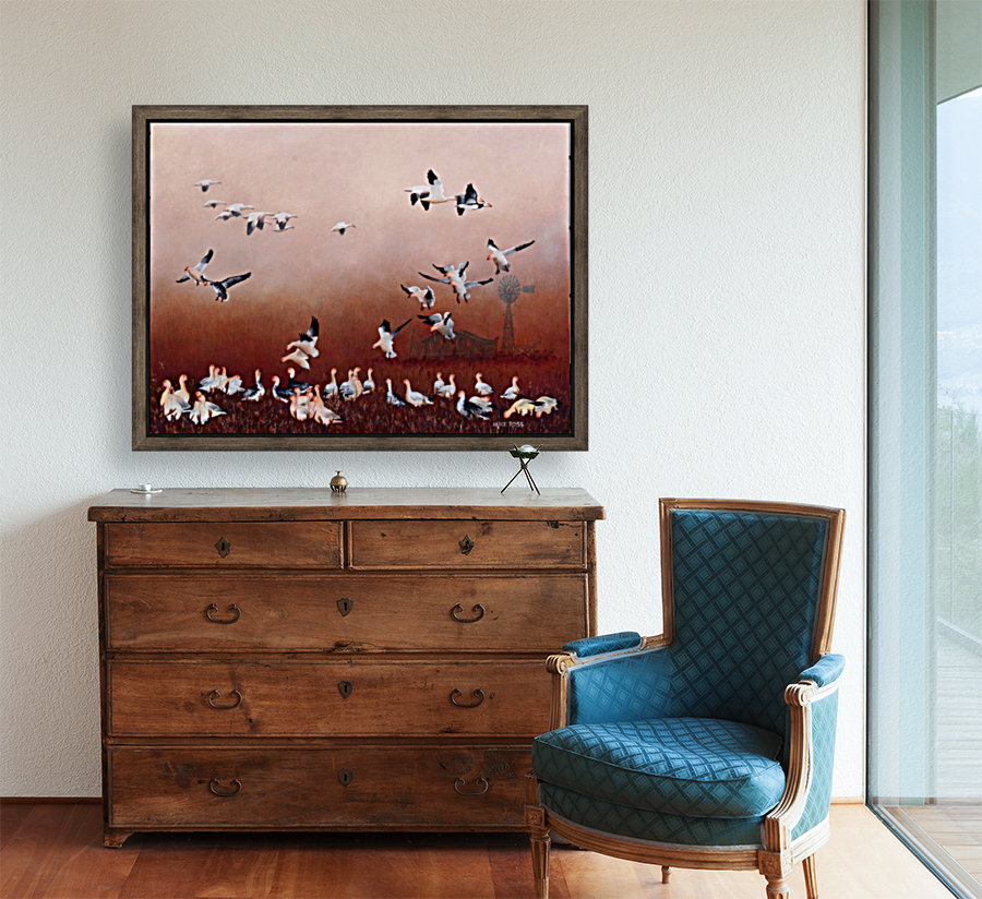 Snow Geese Reproduction