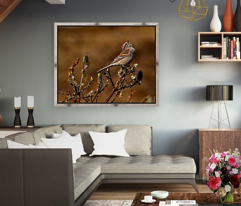 TreeSparrow Reproduction