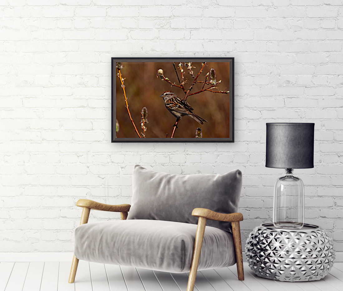 TreeSparrow Reproduction
